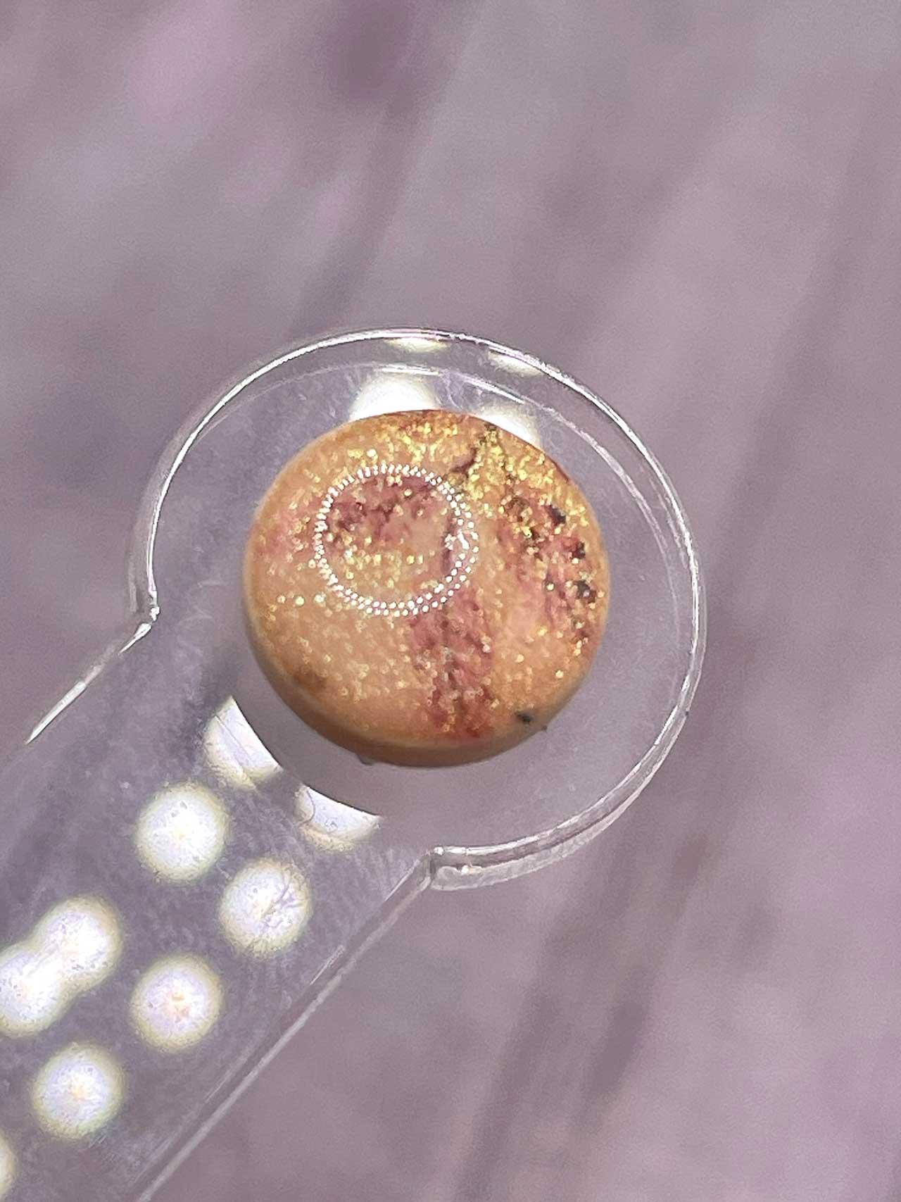 Sada náušnic květy pecky/napichovací