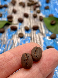 Náušnice kávová zrna