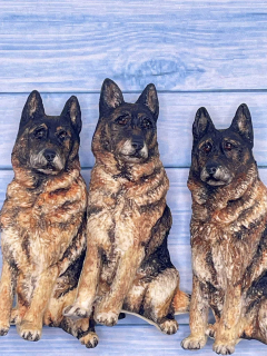 Brož pejska dle Vaší fotografie